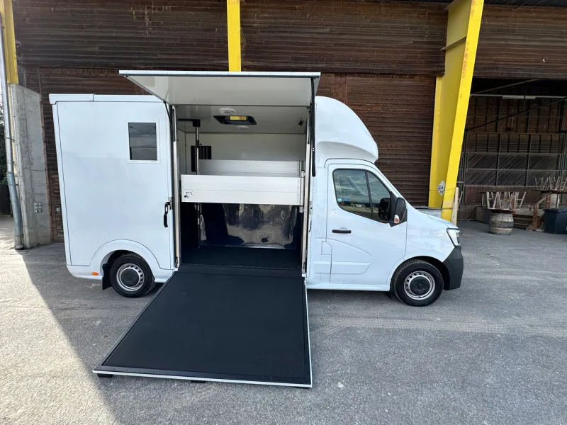 Roelofsen light / Renault