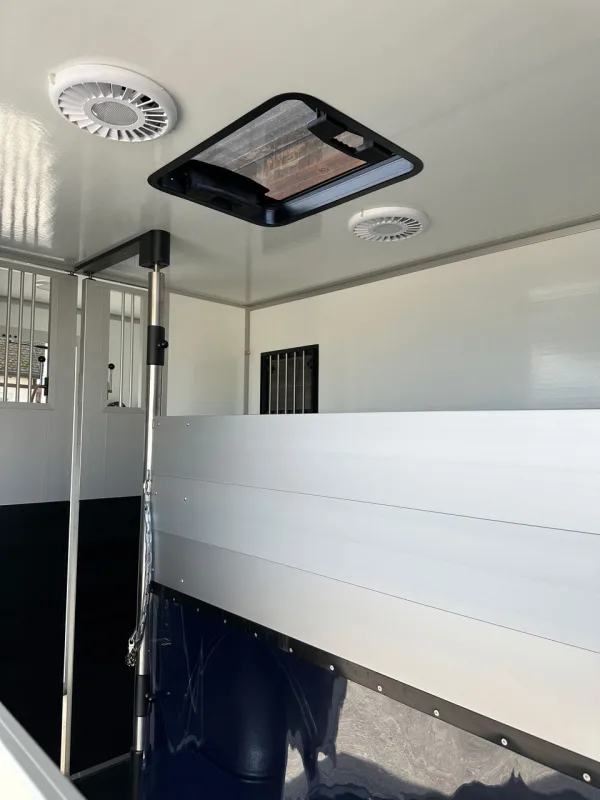 Roelofsen light / Renault