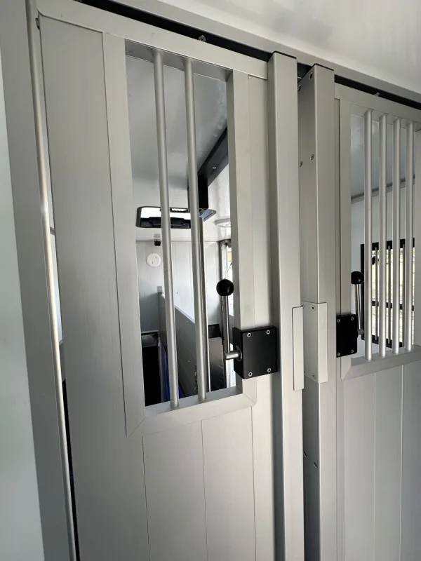 Roelofsen light / Renault